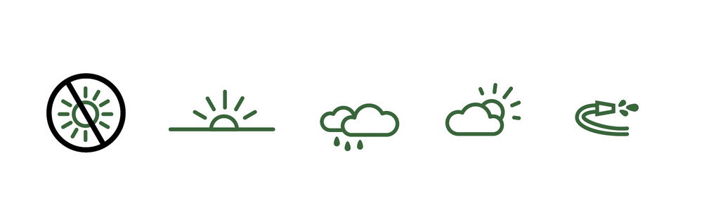 Tipps WItterung Tipps WItterung