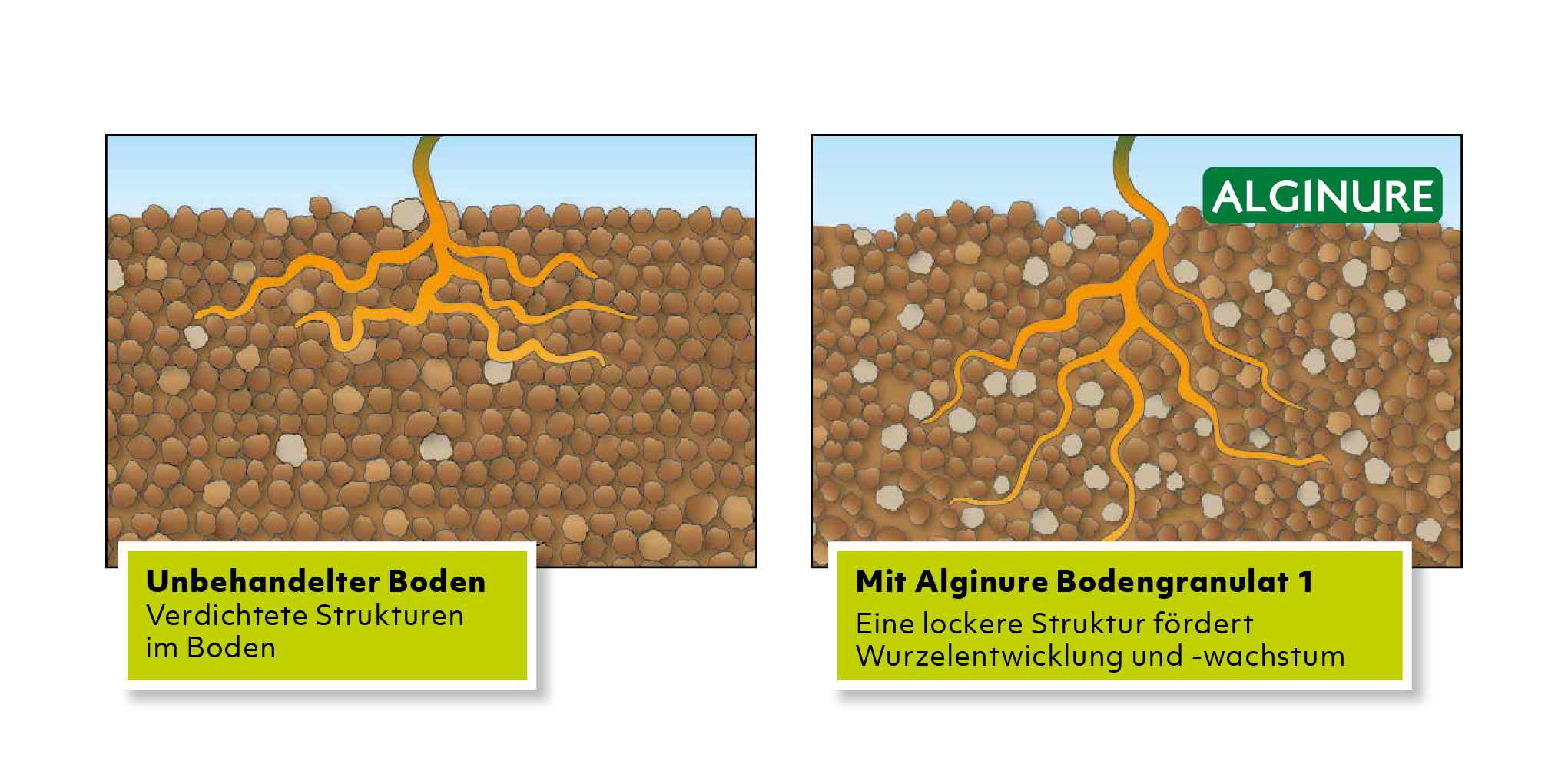 Bodengranulat, Bodenstrukturen